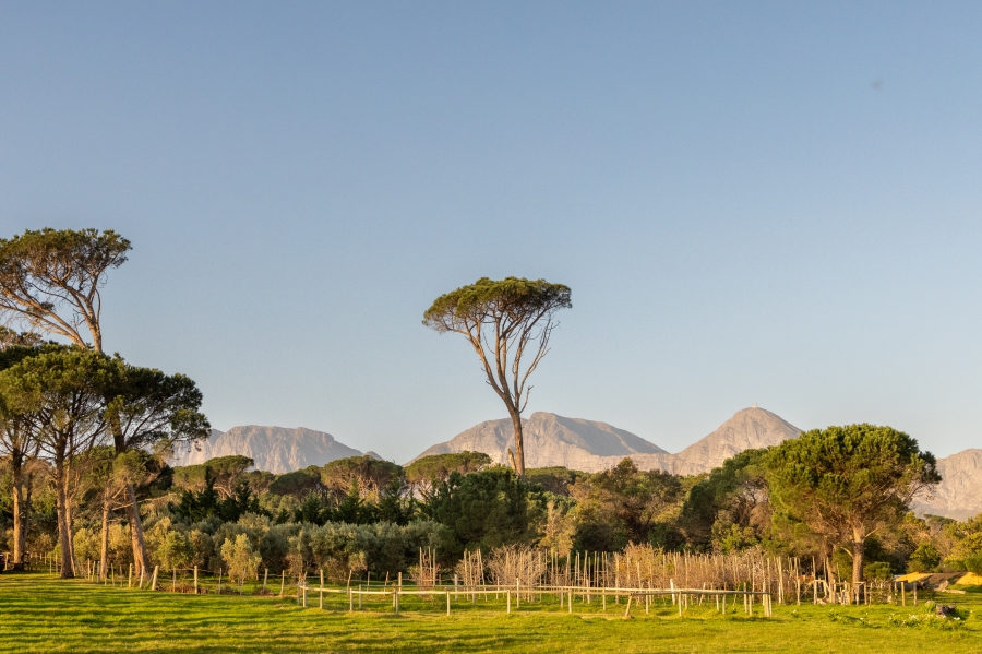 0 Bedroom Property for Sale in Somerset West Rural Western Cape